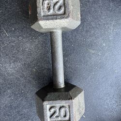 20LB Dumbbell