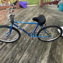 Blue Bike 