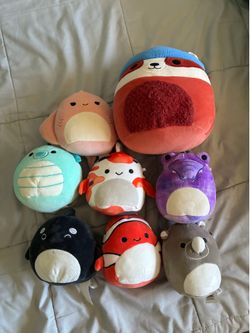 Sqishmallows’s random assortment