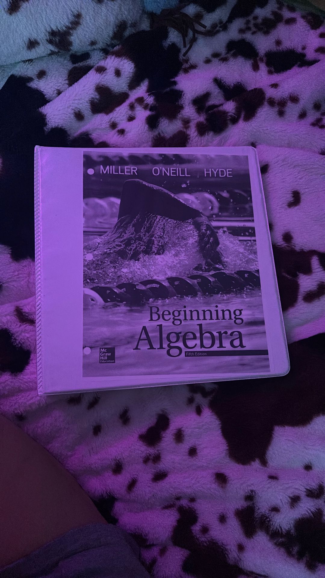 Beginning Algebra Textbook