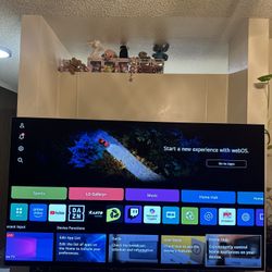 65” LG 4K OLED EVO G4