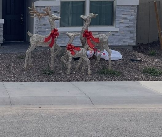 Tall Deer Family With LED Lights From Costco