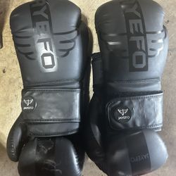 Boxing gloves