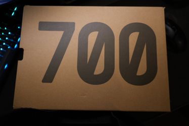 Yeezy Wave runner 700