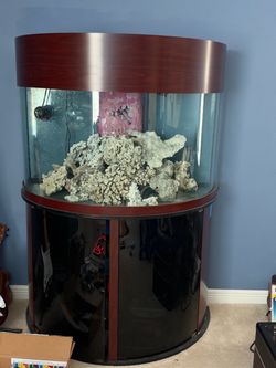 Fish Tank
