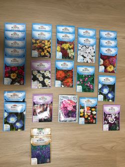 Annual and Perennial Plant Seeds