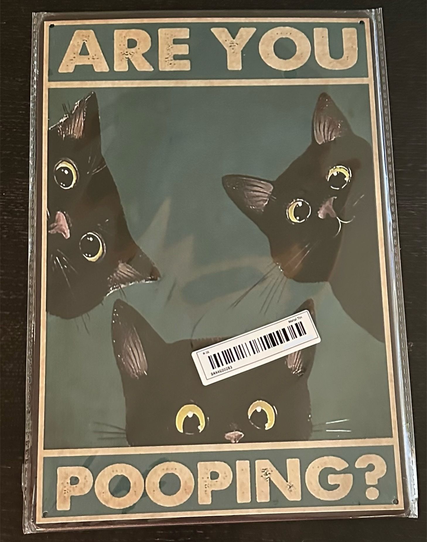 Are You Pooping Metal Sign 