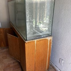 Free!! 100 Gallon Fish Tank