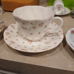 Queens Rosina China 1875 Cup And Saucer