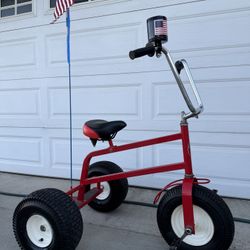 GIANT RHINO TRIKE BIKE - GREAT CONDITION! $450