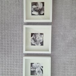 Framed cherry blossom prints window box frames