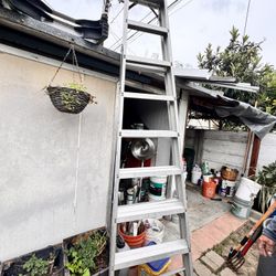 10ft Aluminum Ladder 