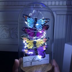New Glass Butterfly Dome