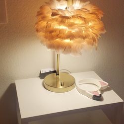 FLOOR LAMP AND NIGHT STAND LAMP