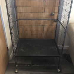 Bird Cage