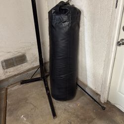Punching Bag 