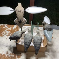 Battery Powered Mojo Dove Decoy