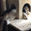 Samantha