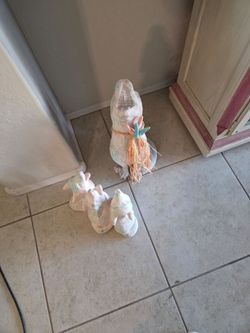 Coyote family