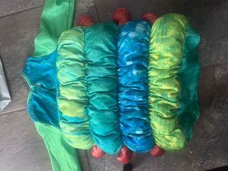 Caterpillar Costume with Segmented Body