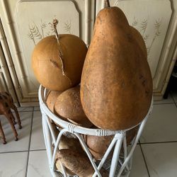 Large Dried Birdhouse Gourds