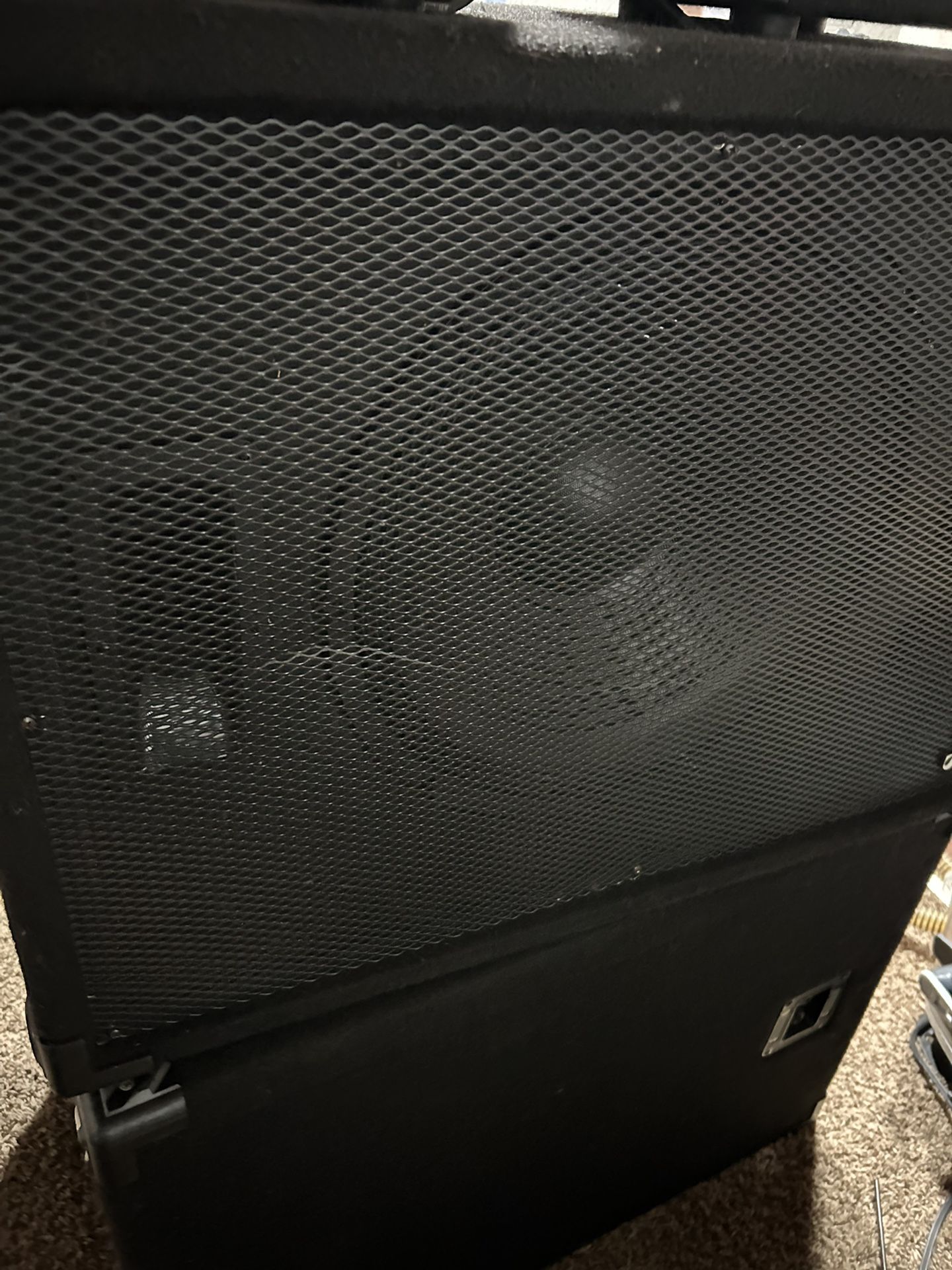 Passive Speakers With Amp (optional)