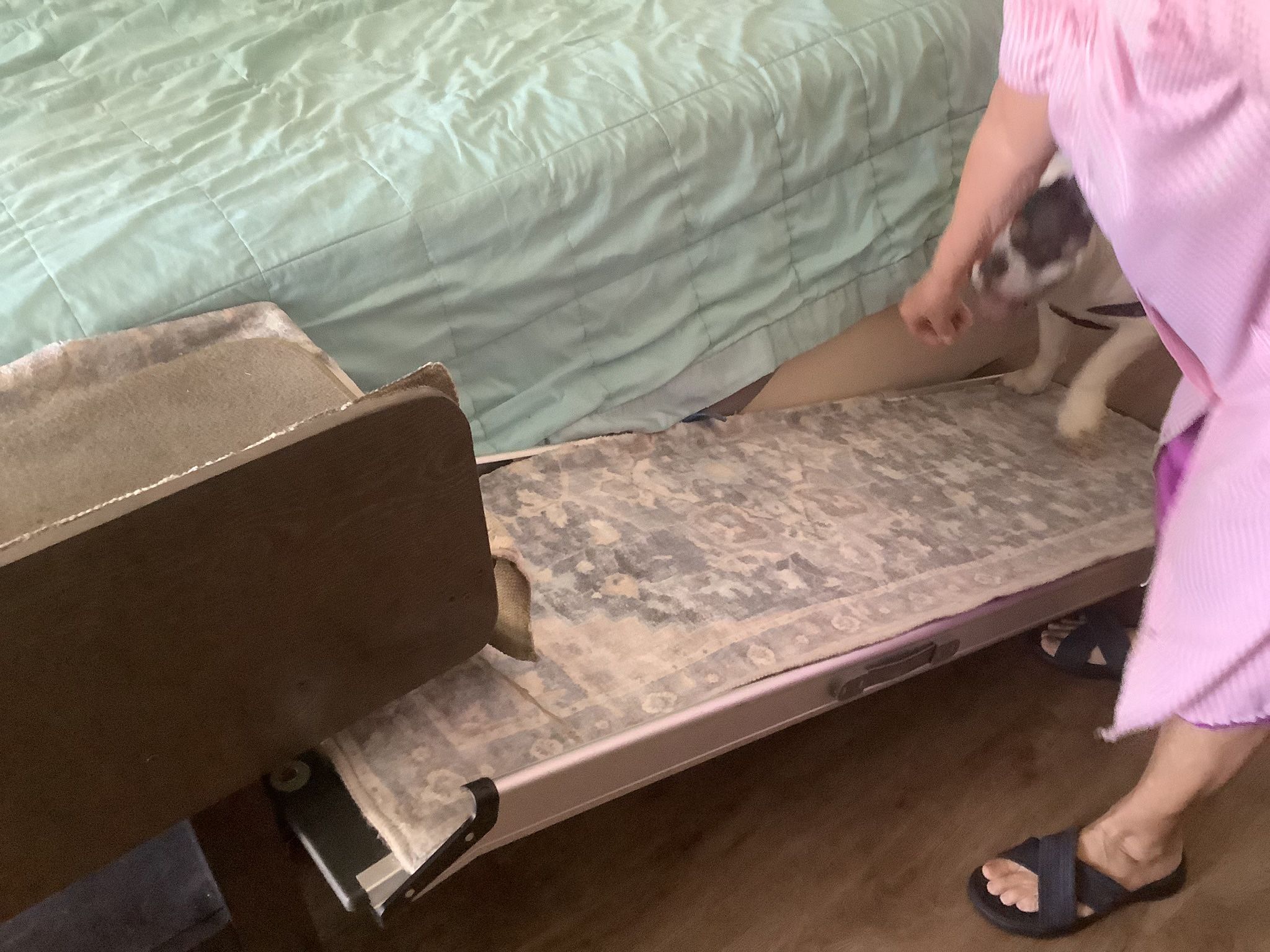 Aluminum Dog Ramp For Bed Access