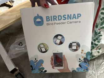 Bird Feeder Camera 