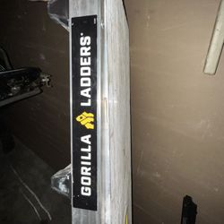 Gorilla Ladder