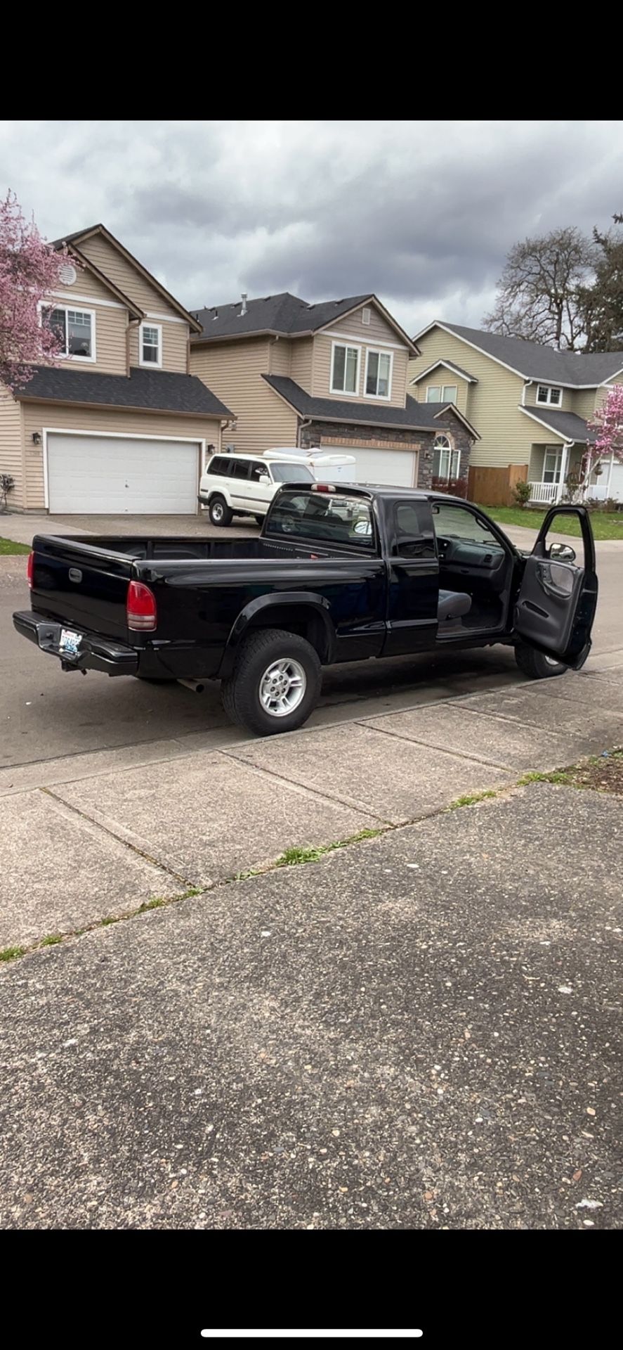 1999 Dodge Dakota