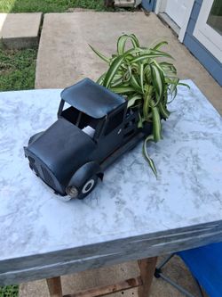 Live Plant in Decorative Truck