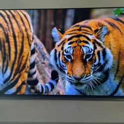 Sony Tv 55 Inch Smart Tv 4K XR55A80L OLED