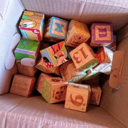 Bundle Lot of Wooden Blocks (Alphabet & Puzzle Blocks)