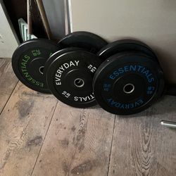 Bumper Weight Plates 