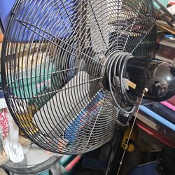 Large Fan