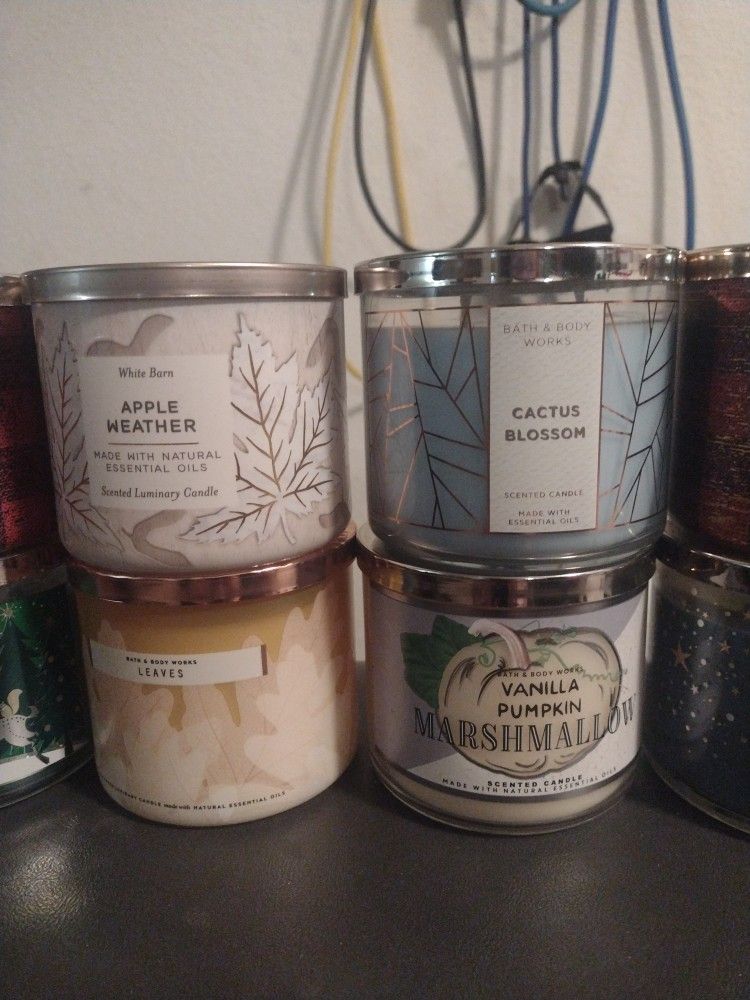 Bath And Body Works 3 Wicks