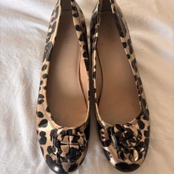 Women’s Shoes Size 8