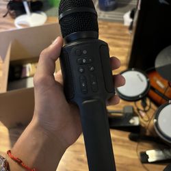 Singing Machine Microphone