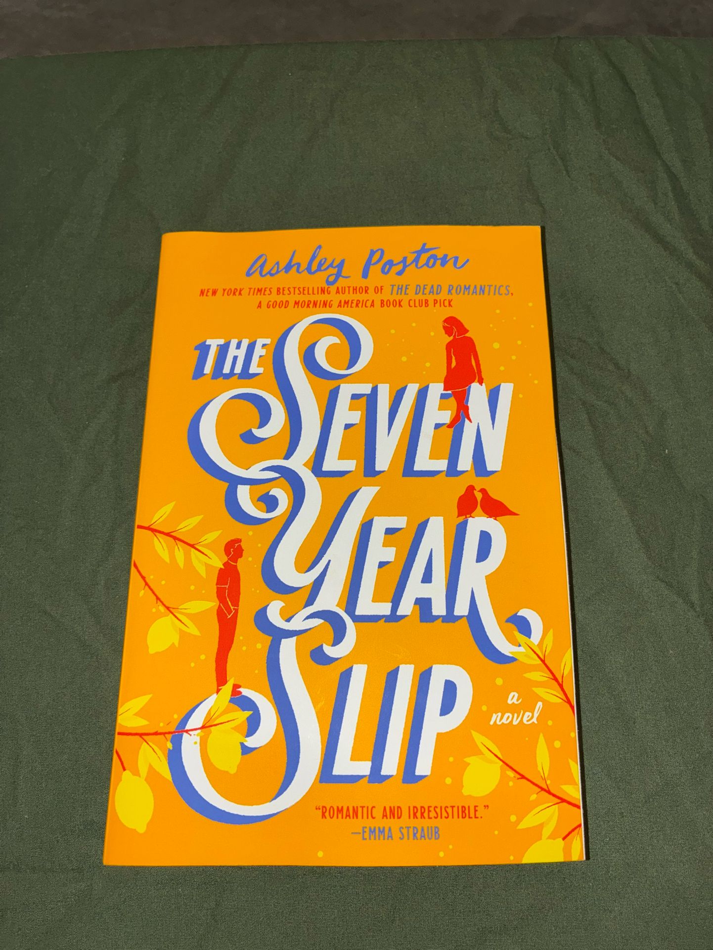 The Seven Year Slip By Ashley Poston
