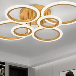 Brand New In Box 6 Ring Ceiling Light 