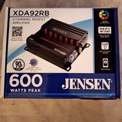 DSP Jensen Amp