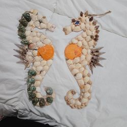 Caballitos De Mar