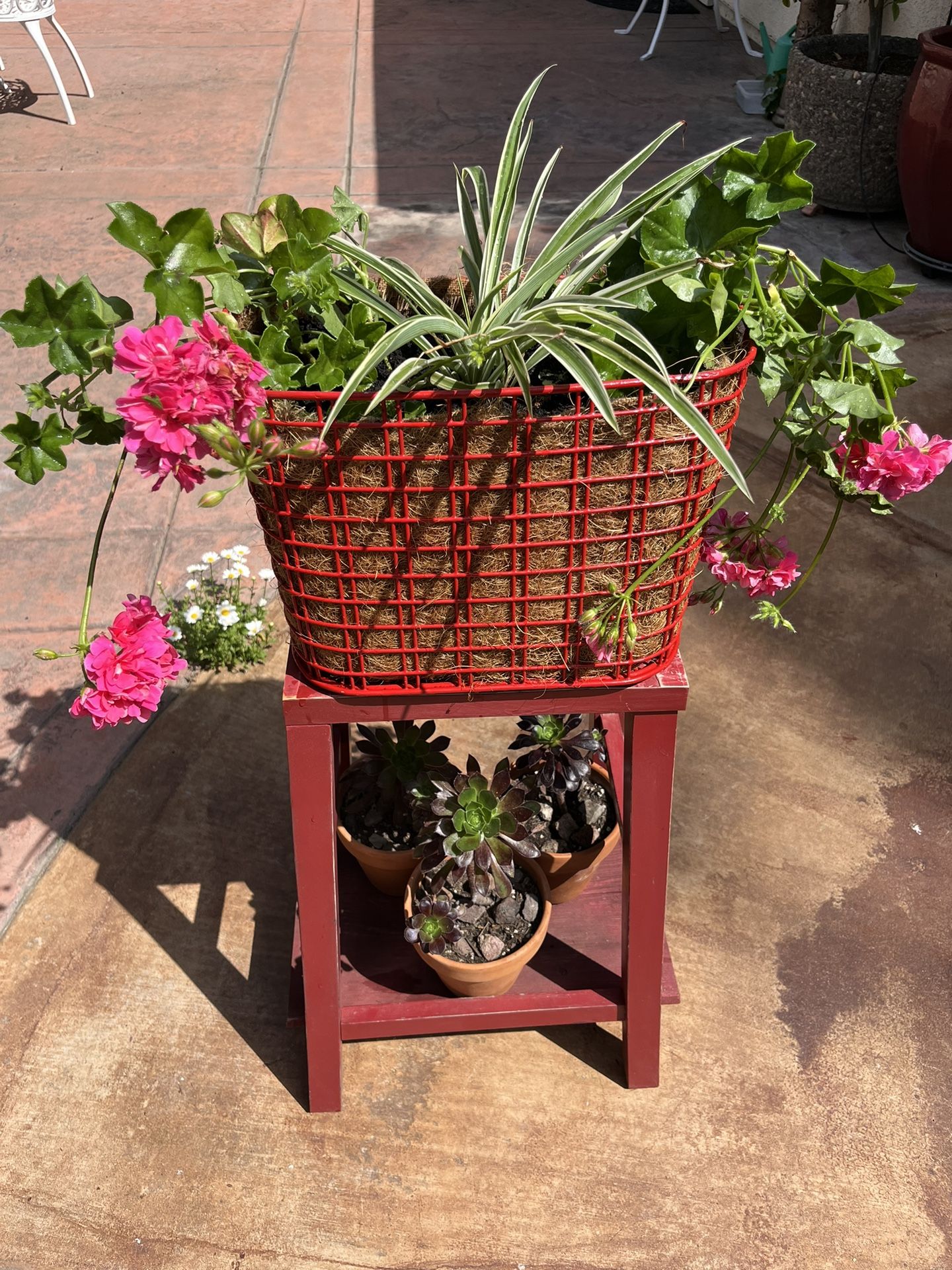 Plant Stand With Plants