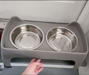 Top Paw Elevated Double Dog Feeder