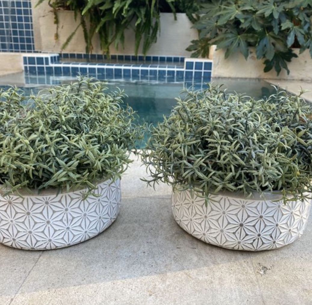 2 Fake Planters With Pots