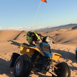 1988 Suzuki LT 250 Quadracer 