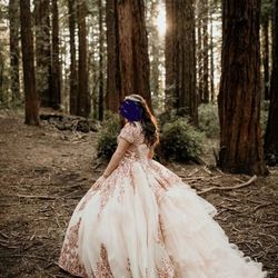 Quinceañera Dress