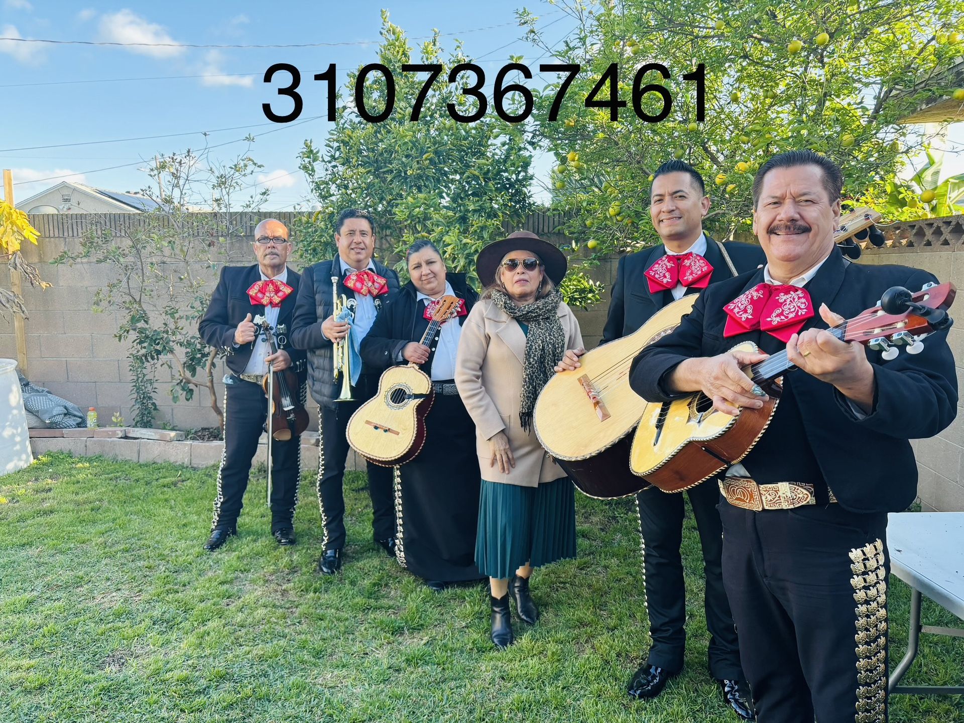 Guitarra Acuática De Mariachi 