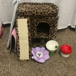 Cat Supply Bundle Deal 
