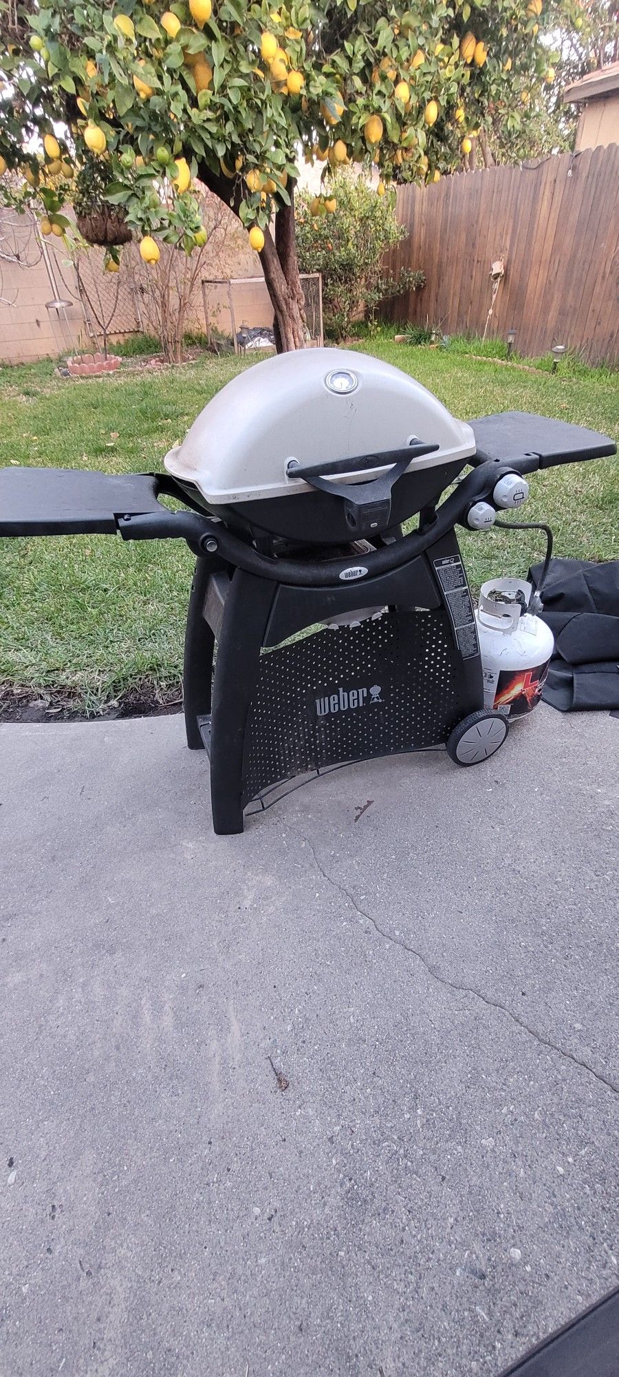 Q3200 Weber Bbq Grill 